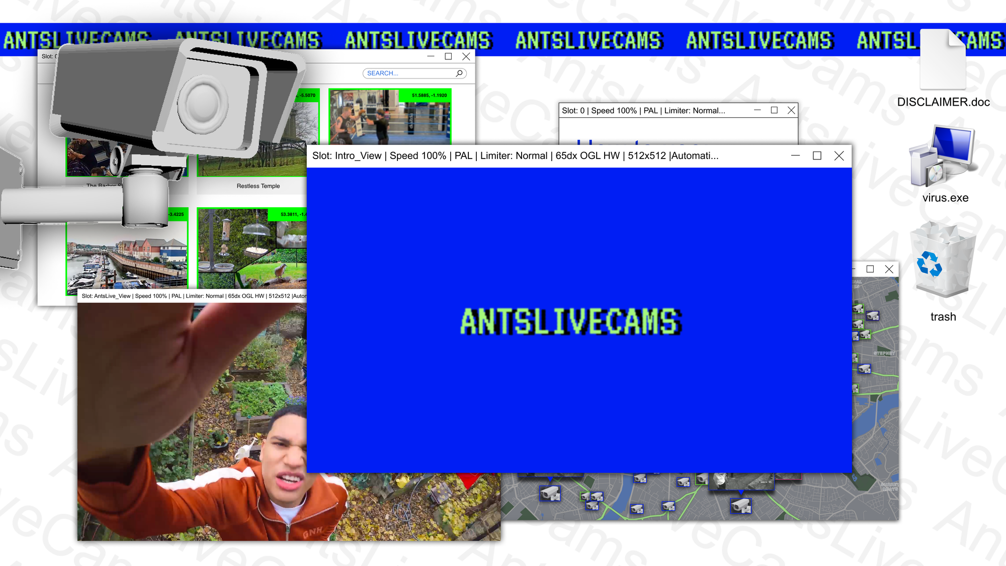 AntsLive